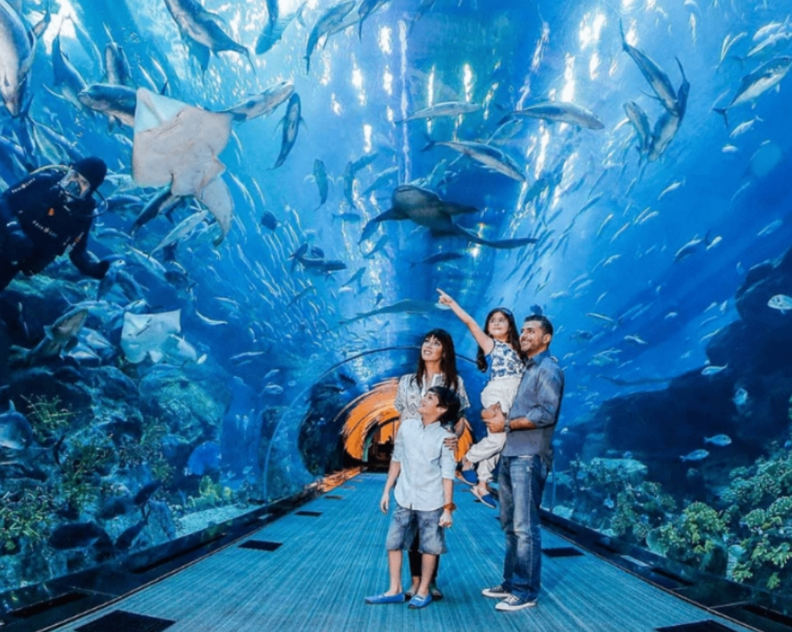 Билет 2 в 1: IMG Worlds of Adventure + Дубайский аквариум