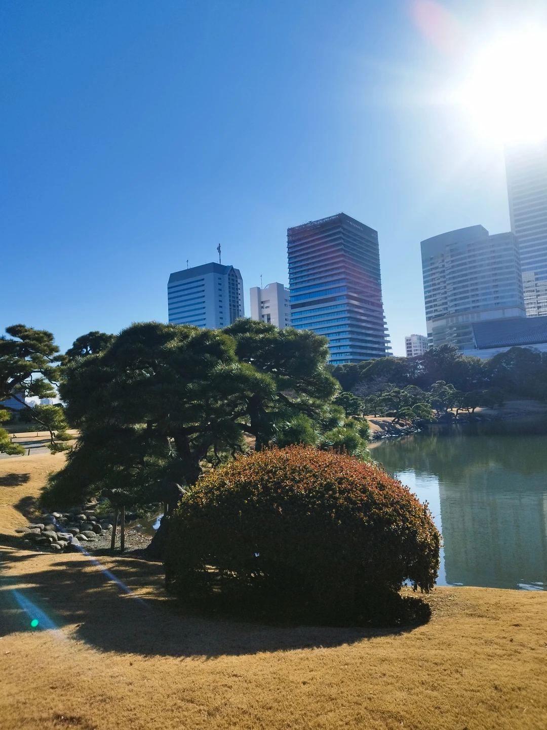 Прекрасно провели время. Елена великолепно знает материал, в доступной форме доносит информацию. Маршрут составлен очень удобно