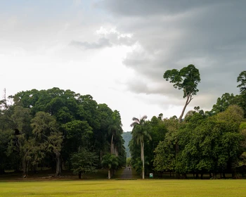 Канди и Нувара-Элия: храм Зуба Будды, ботанический сад и чайные плантации