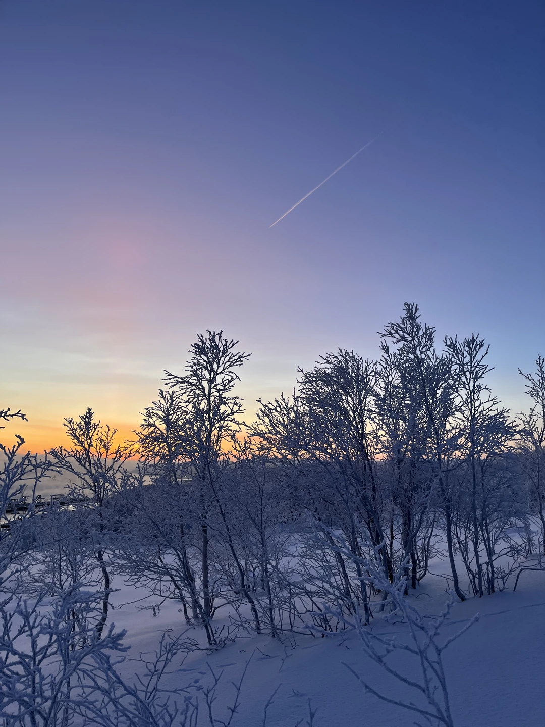 Это самая богатая на восторженные эмоции экскурсия (хотя нам повезло и с сиянием, и с китами
