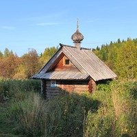 Отзыв о экскурсии "Урочище Куртяево — ещё одно чудо Севера" — фото 2