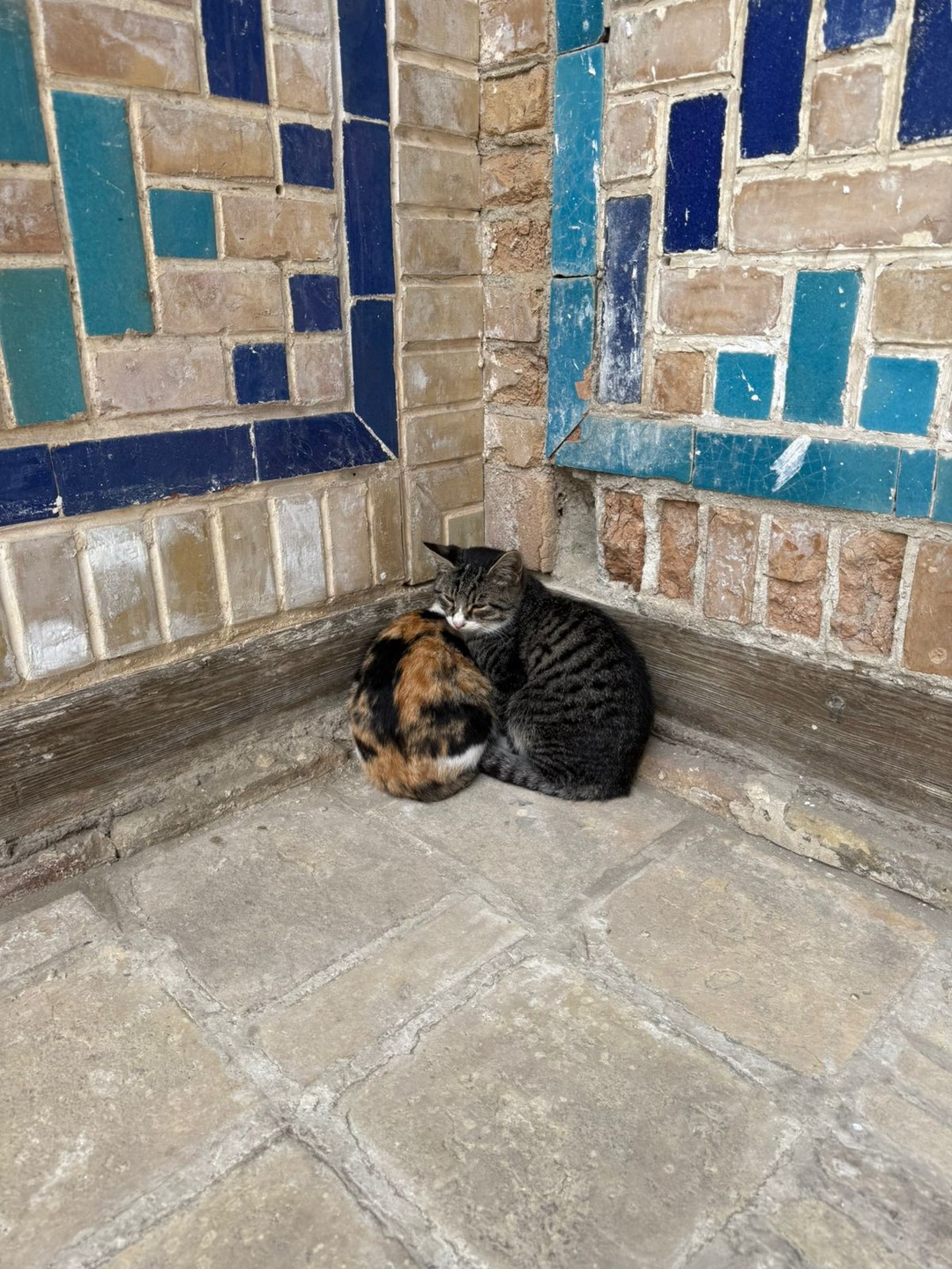 Акбар это очень уникальный человек!