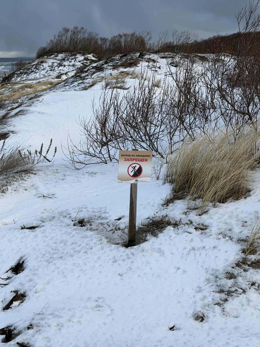 Спасибо большое Сергею за возможность прочувствовать атмосферу и душу Куршской косы. Его экскурсия была очень насыщенная