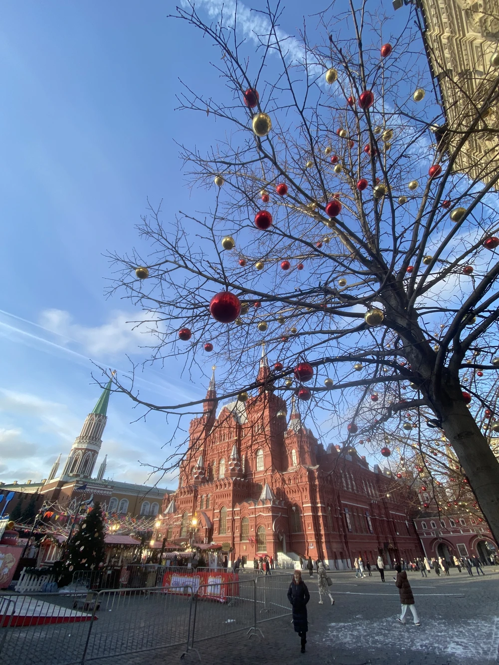 Зимний переполох в Москве (3/9)