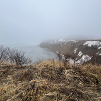 Фото отзыва 1: экскурсия "Те самые Тихая и Клоковский: мыс, водопад, янтарь, Тории, крабы"