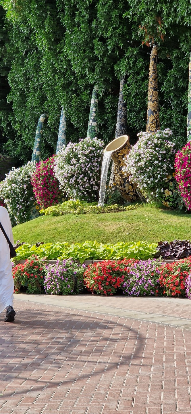 Посетили два прекрасных места, парк бабочек и парк цветов…. впечатлений больше, чем от посещения Бурдж Халифы… Тут обязательно надо побывать…