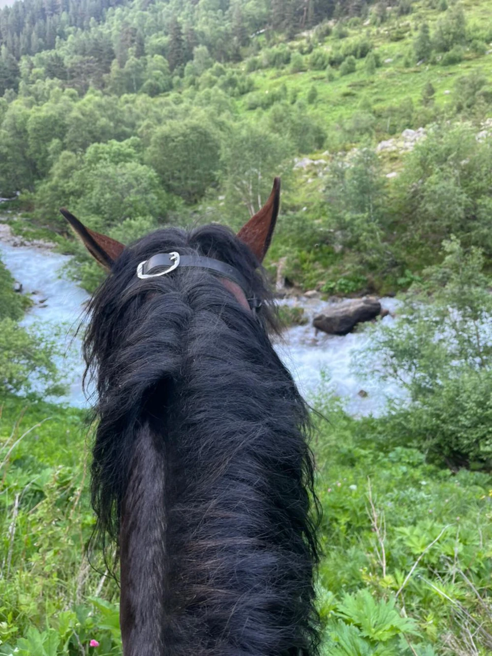 Конная прогулка на смотровую площадку в Архызе (11/15)