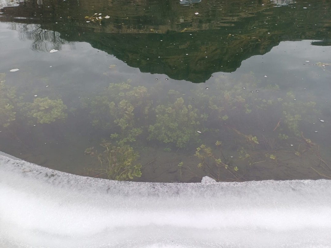 Уютное, красивое место, все понравилось, приедем ещё