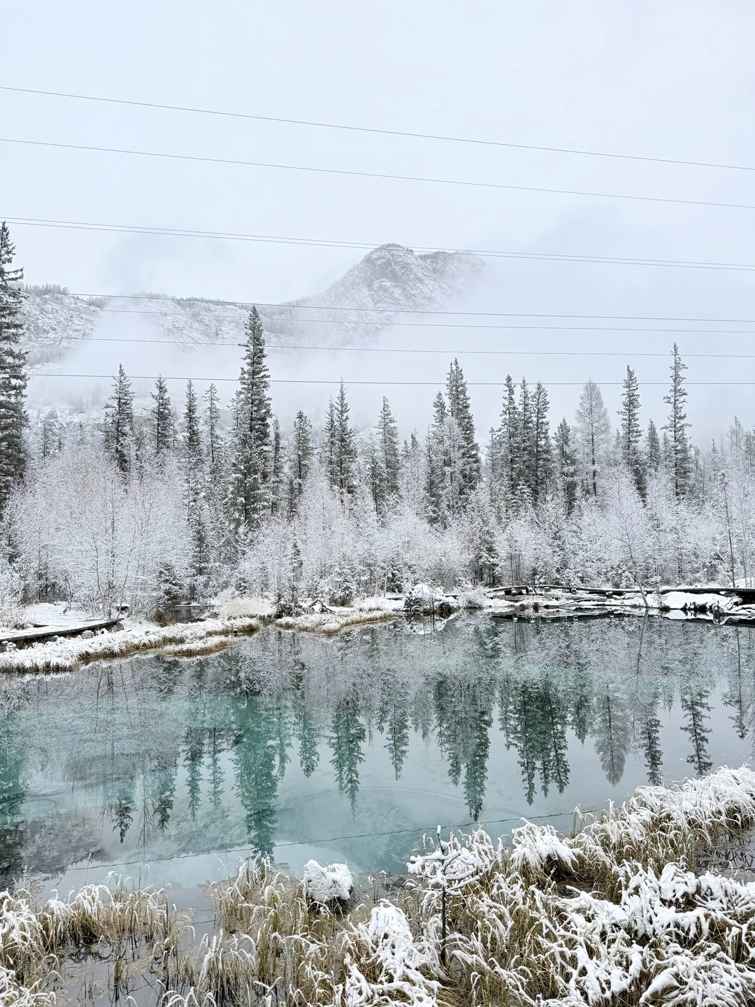 Это был мой восторг!!! Не первый мой такой тур, но Константин огромный молодец!!! Показал Алтай во