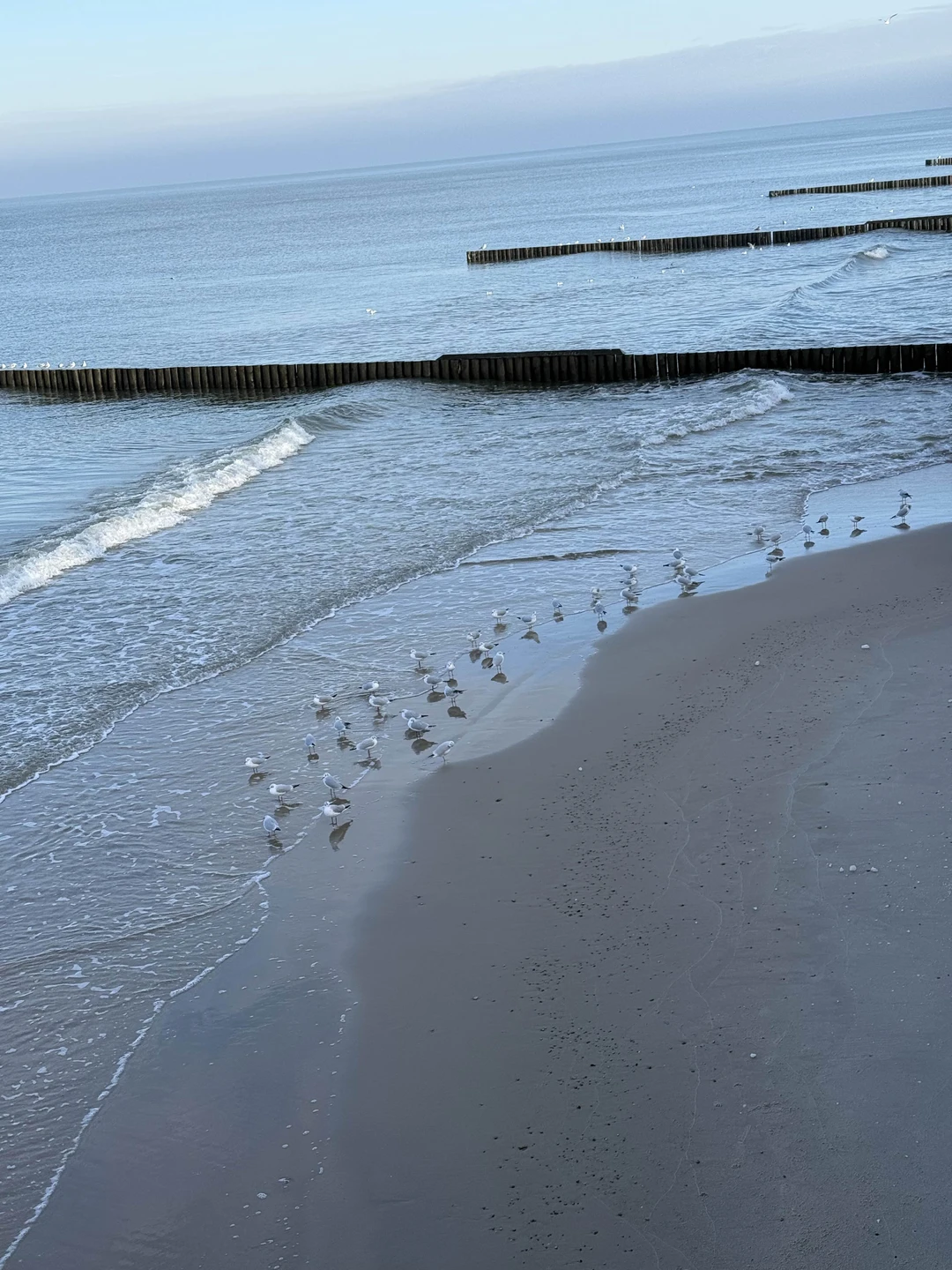 Очаровательные Светлогорск и Зеленоградск (Елена)