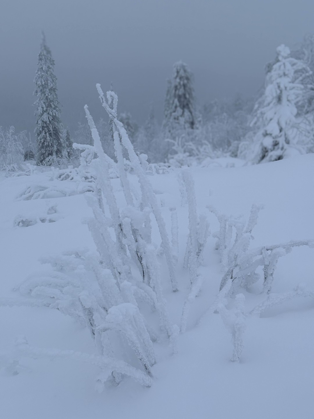 Спасибо Дмитрию за экскурсию! Самим в гору будет проблематично ходить. Рассказал интересные факты, угостил чаем. Сделали