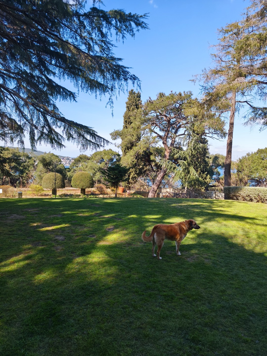 Экскурсия понравилась. Всё организовано очень точно. Гид Луиза просто умница. Спасибо большое