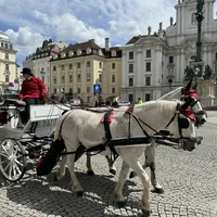 Фото отзыва 3: экскурсия "Вена впервые"