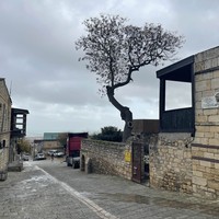 Фото отзыва 3: экскурсия "НеобыЧАЙный Дербент"