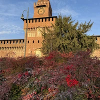 Фото отзыва 2: экскурсия "Русский Милан"