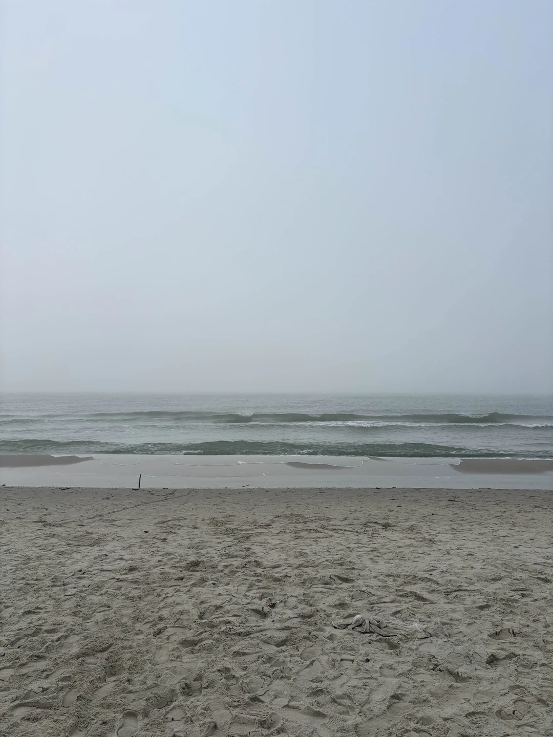 Танцующий лес, Зеленоградск, высота Эфа и сыроварня - на Куршскую косу из Калининграда (Мария)