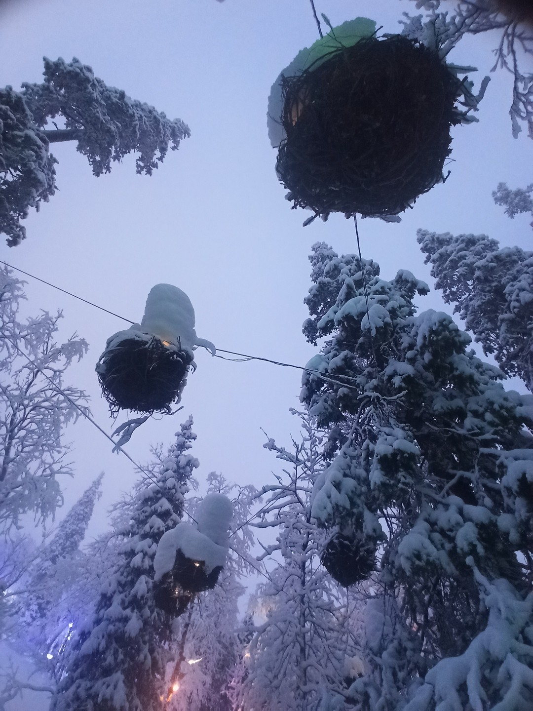 Этнодеревня и Хибины за 1 день (в мини-группе) (Ксения)