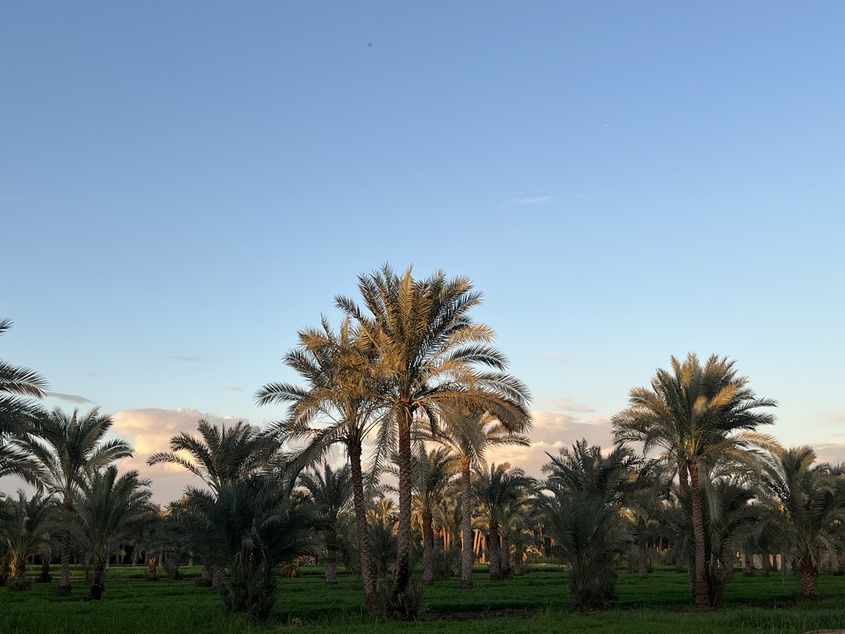 Каир, каким его мало кто видел: Гиза, Саккара, Дахшур и Мемфис