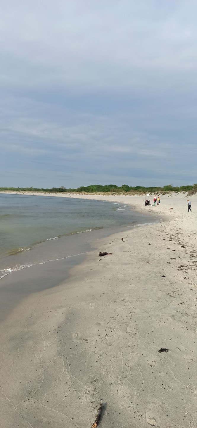 Всю дорогу до Москвы в самолёте читали книгу, подаренную Игорем. Замечательные рассказы. Пишите ещё, у Вас