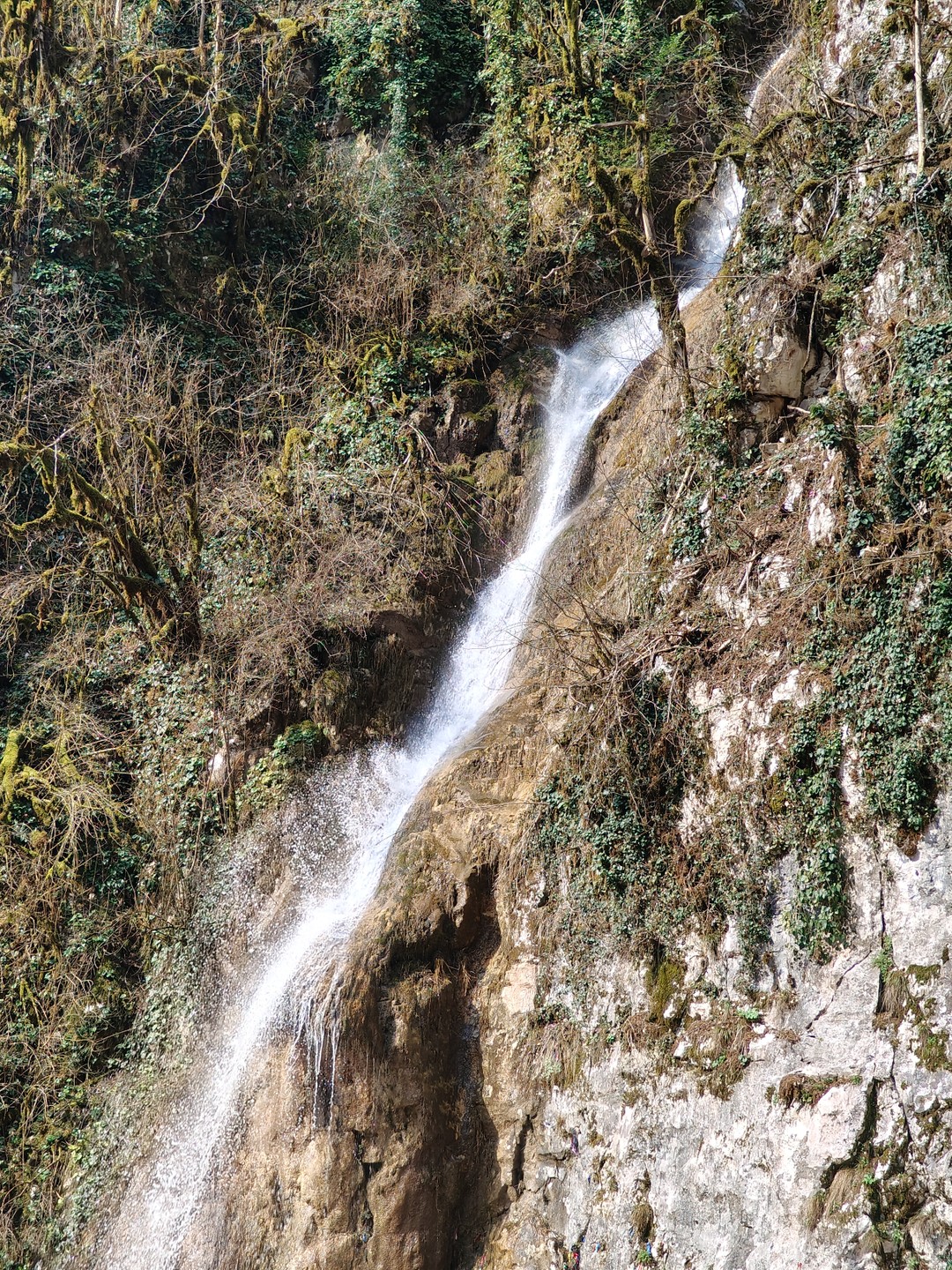 В Абхазии была впервые. Тур прекрасный, познавательный. Гид отличный, рассказал всё подробно, ответил на все вопросы