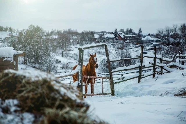 Атмосферные выходные в Туле и Ясной Поляне: гастрономия, культура, мастер-классы (мини-группа)
