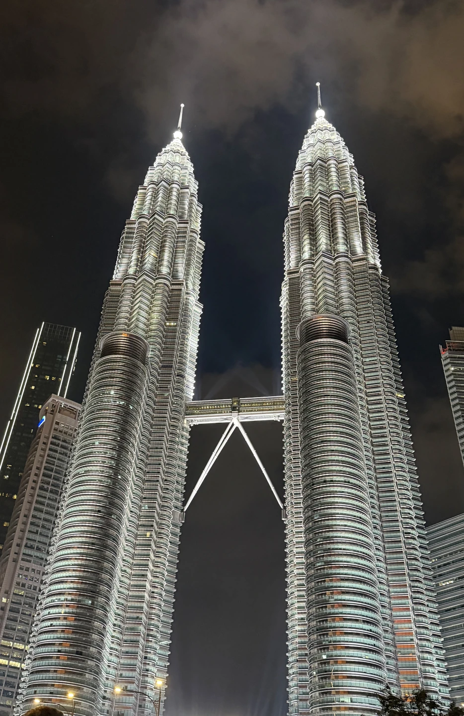 Хочу выразить благодарность Татьяне за организацию экскурсии по Куала Лумпур. Мы были с детьми разного возраста