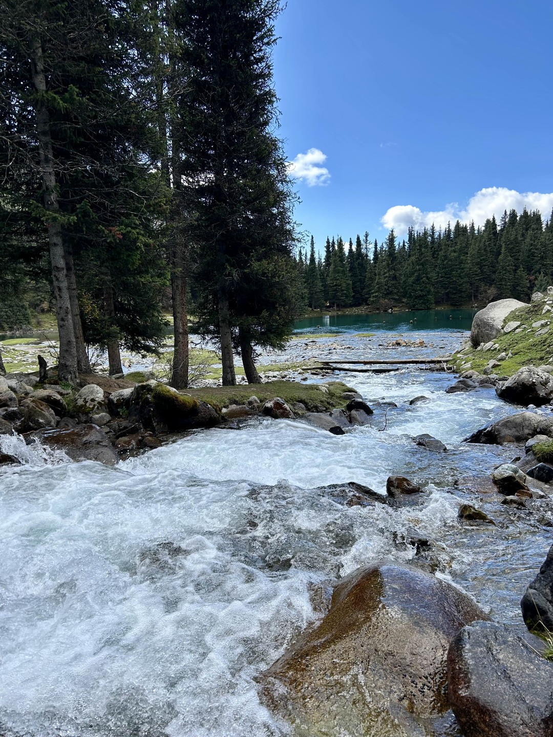 Спасибо большое! Очень интересно и информативно