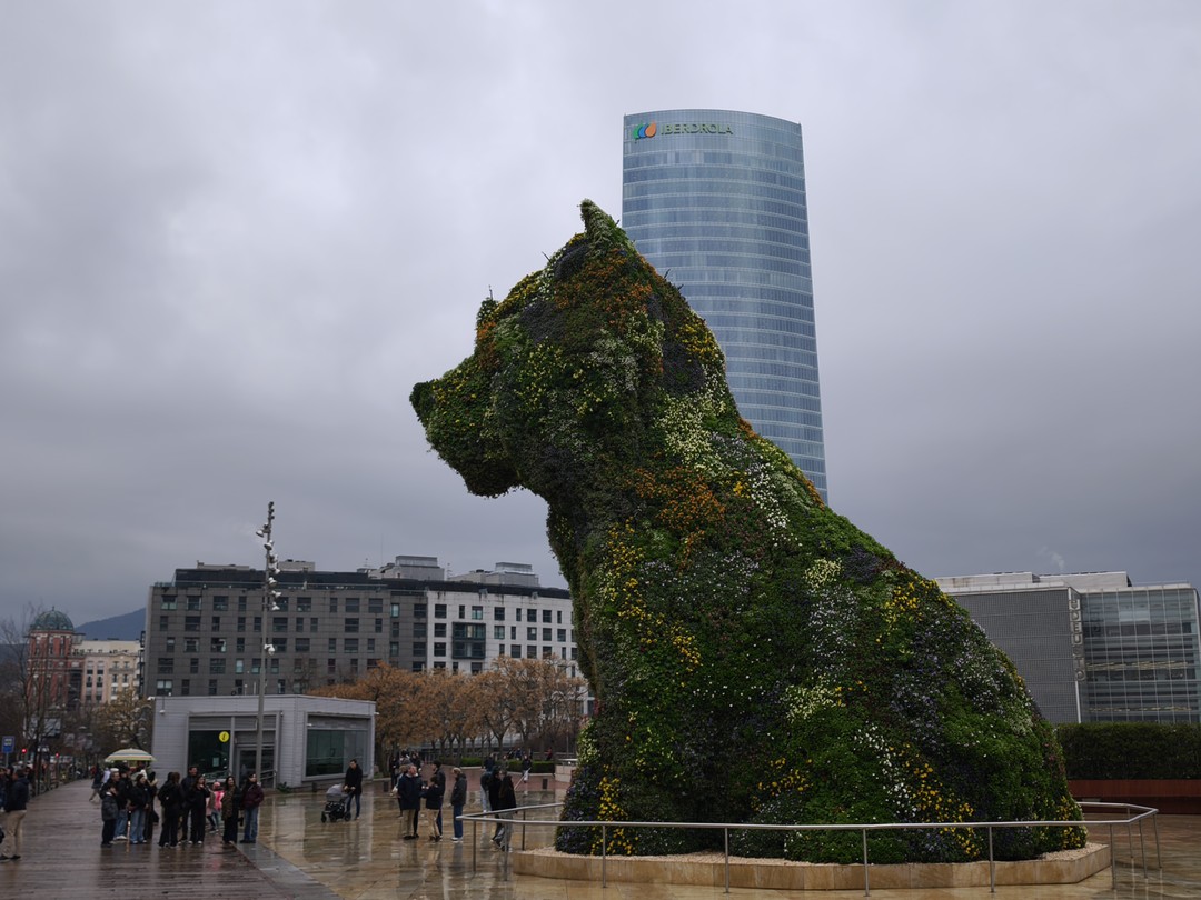 Спасибо Анне за отличную и содержательную экскурсию. Были в Бильбао впервые, семьёй. Забронировали экскурсию, Анна провела