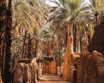 Тайны древней Хегры и традиции пустыни