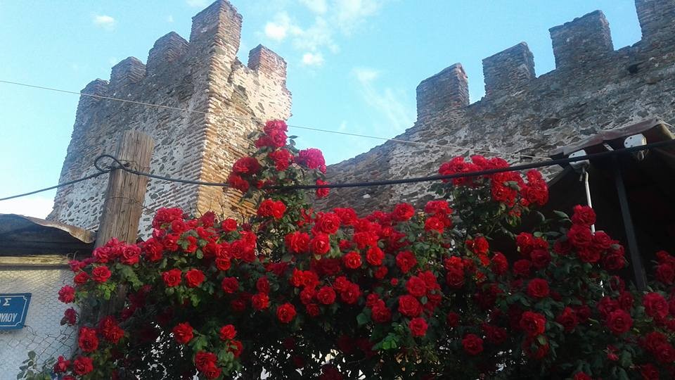 Сокровища Верхнего города (12/12)