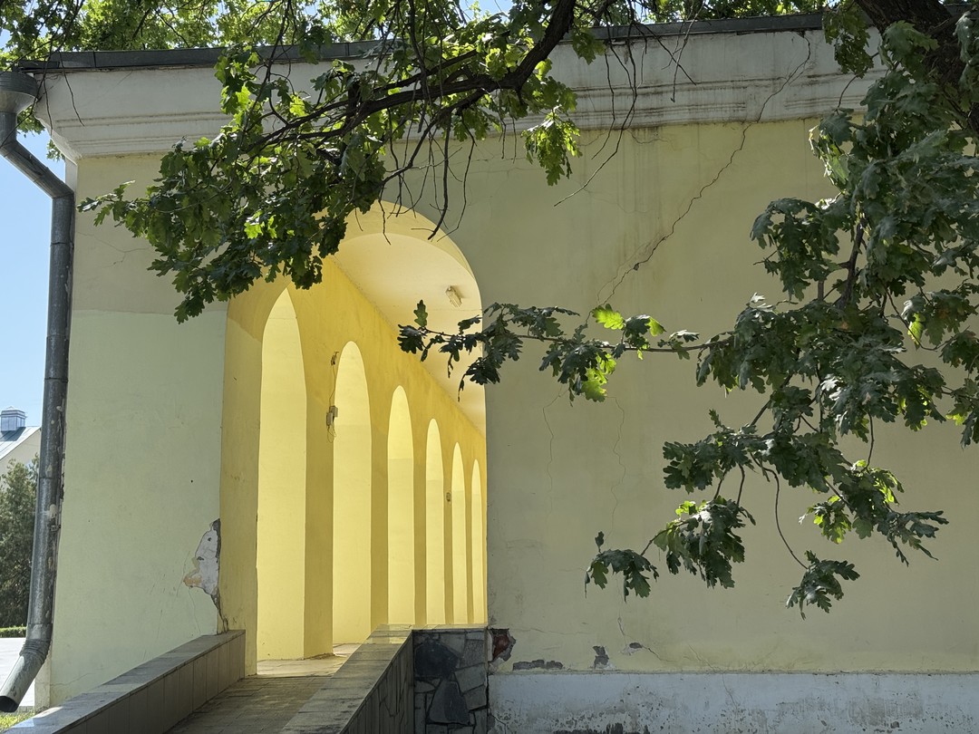 Старая Астрахань: прогулка по исторической части города и Кремлю (Дарья)