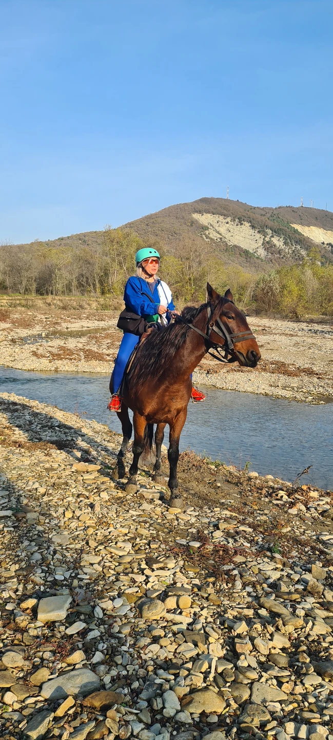 В маршруте предполагалось: озеро Грек, сосновые леса, цветущие луга и смотровая площадка в Дивноморском