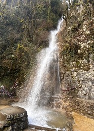Фото отзыва 5: экскурсия "Три в одном: озеро Рица, Новый Афон и Гагры"
