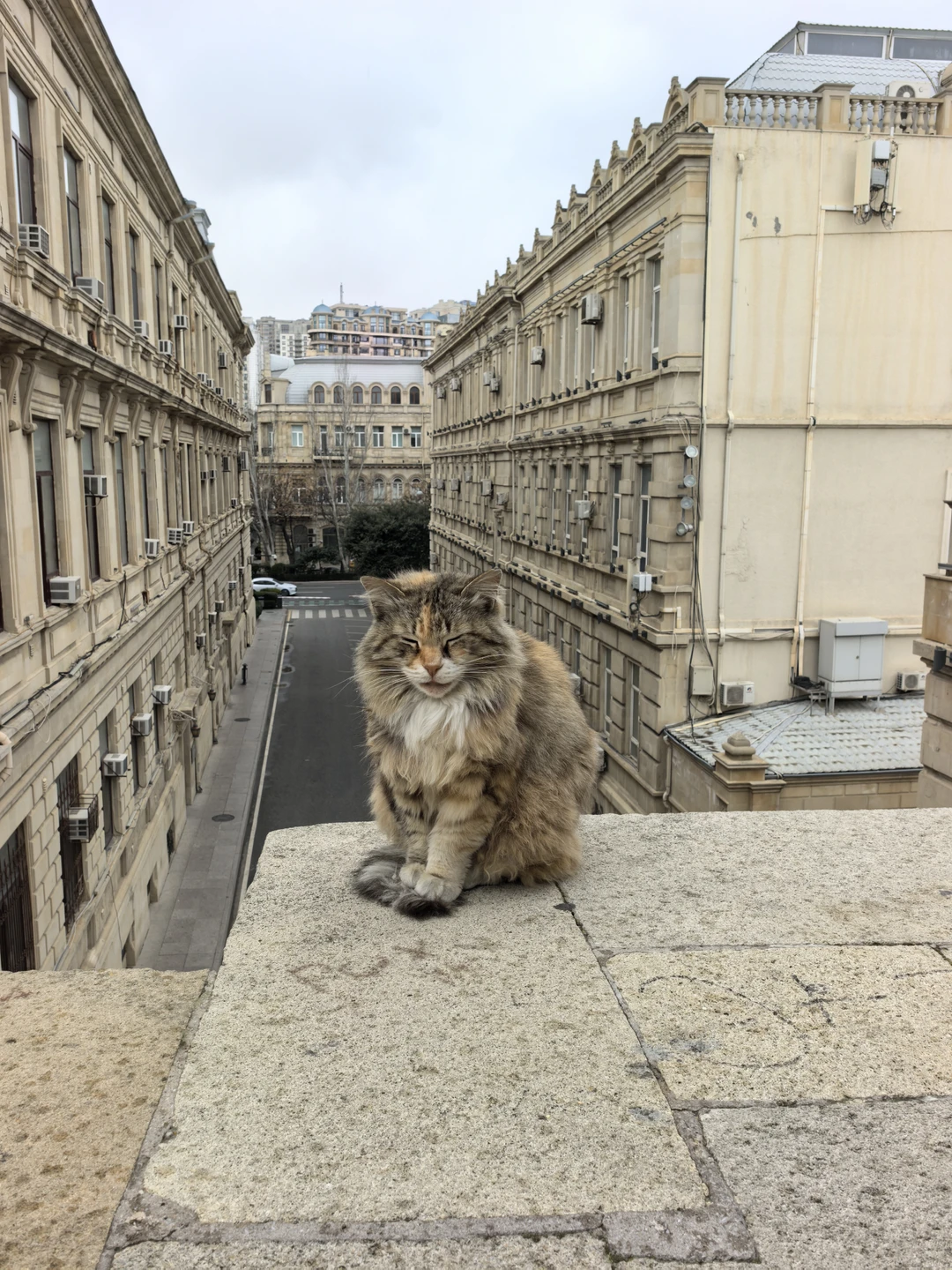 Вахид прекрасный гид и организатор. Мы посетители весь старый город, с нагорным парком, увидели дополнительно захоронение
