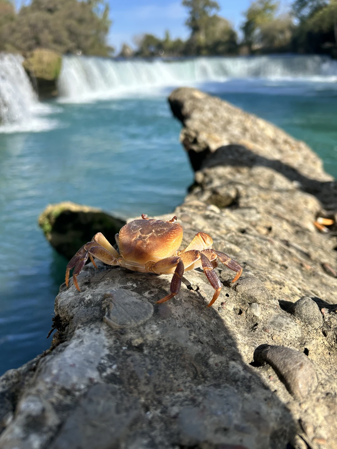 Античный Сиде: зарождение цивилизации (Анна)