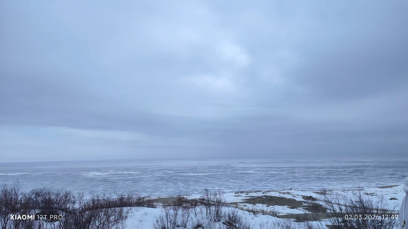 экскурсию рекомендую, Антон очень всё доступно и занимательно преподносит, 8 часов пролетают не заметно)