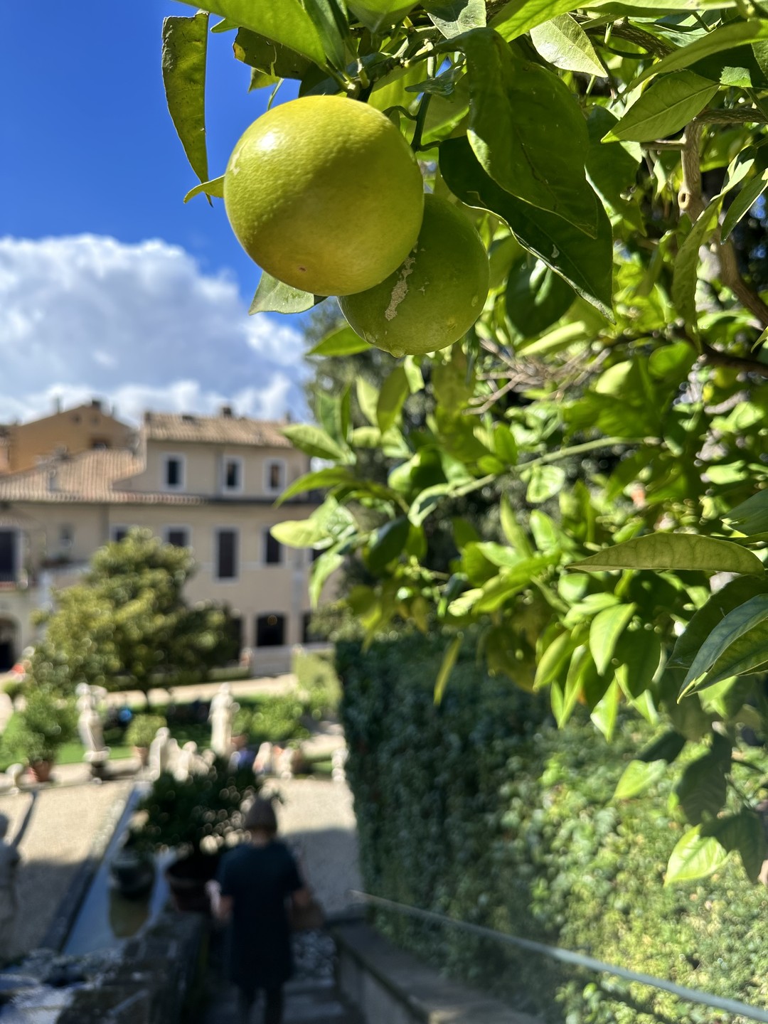 Сокровища рода Колонна: экскурсия во дворце (Роман)