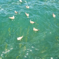 Фото отзыва 5: экскурсия "Живописная Армения: поездка в&nbsp;Дилижан и&nbsp;Цахкадзор"