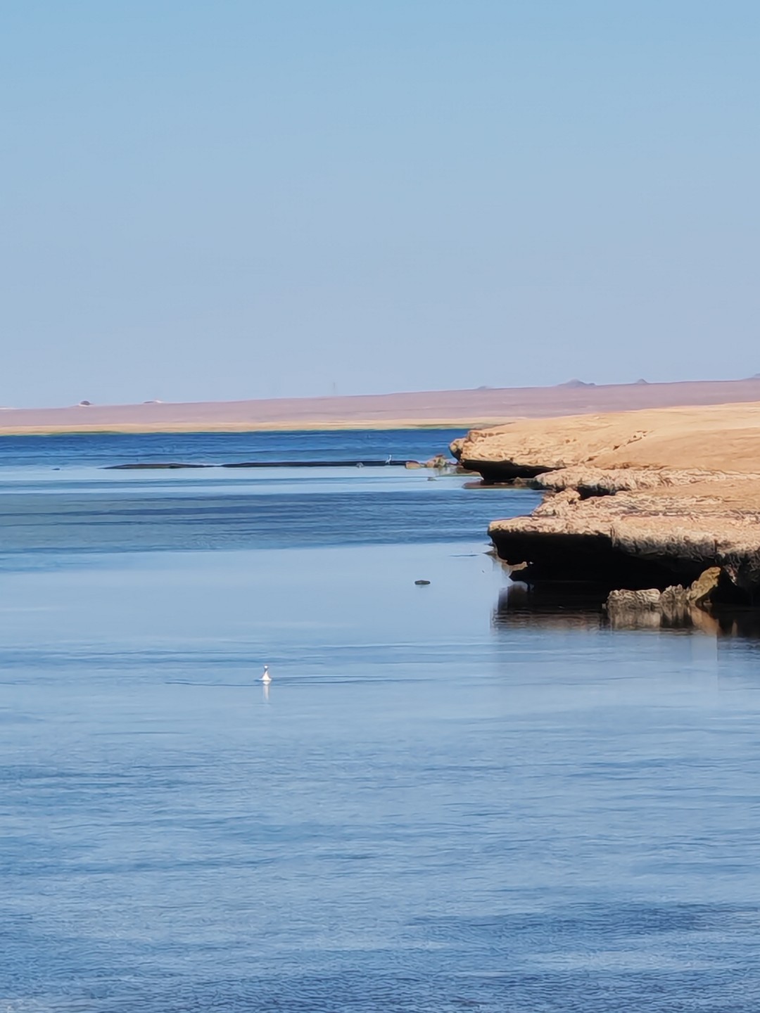 Нам очень понравилось отдыхать с Мустафой - весь день чувствовали себя, окружённые заботой и вниманием. Это