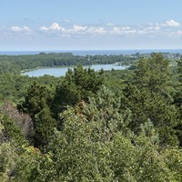 Фото отзыва 3: экскурсия "Идиллическая Куршская коса"