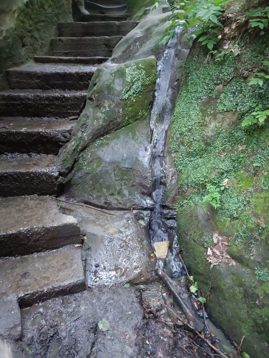 На экскурсии "Из Краснодара к отрогам большого Кавказа" были двое взрослых 23 мая 2025 с проводником