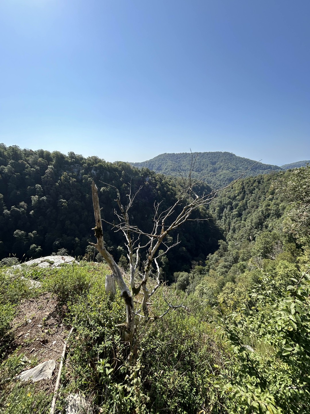 Спасибо большое Юрию за прекрасный трекинг!