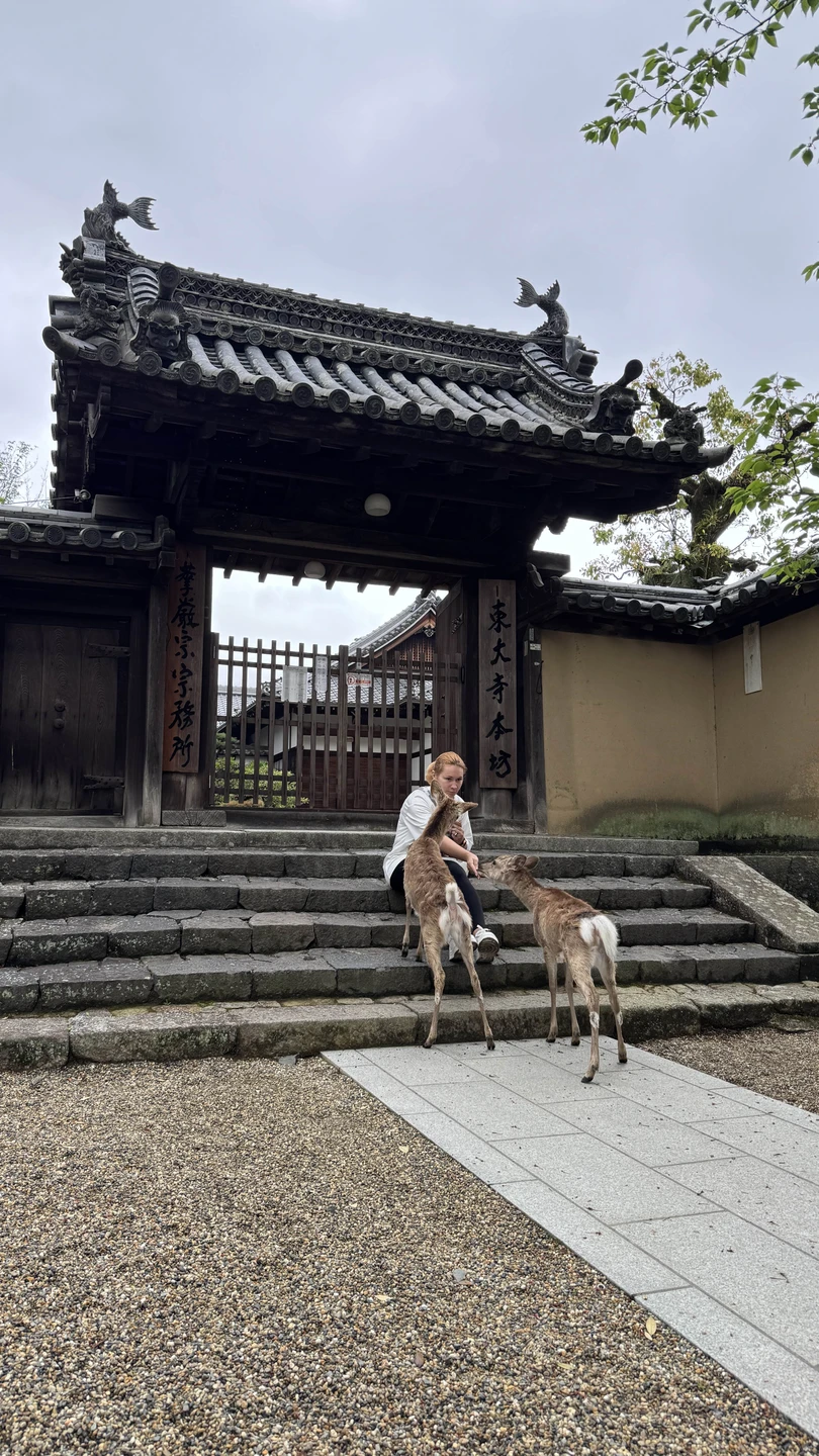 Япония покорила с первой минуты! Программа очень насыщенная. Спасибо Евгении за то что задавала нам верный