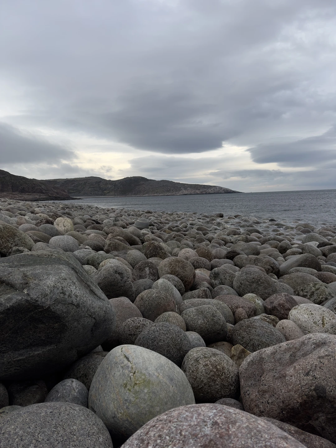 Красоты Териберки и выход в море на поиски китов (Елена)