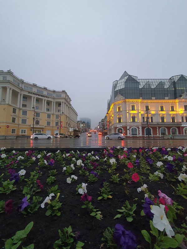 Виды Море, маяки, мосты: знакомство с Владивостоком