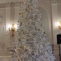 Фото отзыва 3: экскурсия "Гатчина с посещением дворца — автобусная однодневная экскурсия"