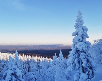 Откликной гребень и кордон «Гремучий ключ»