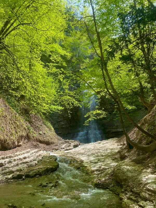 Загадочный некрополь Цой-Педе и Аргунское ущелье