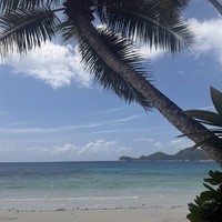 Фото отзыва 1: экскурсия "Сейшелы: один день в раю"