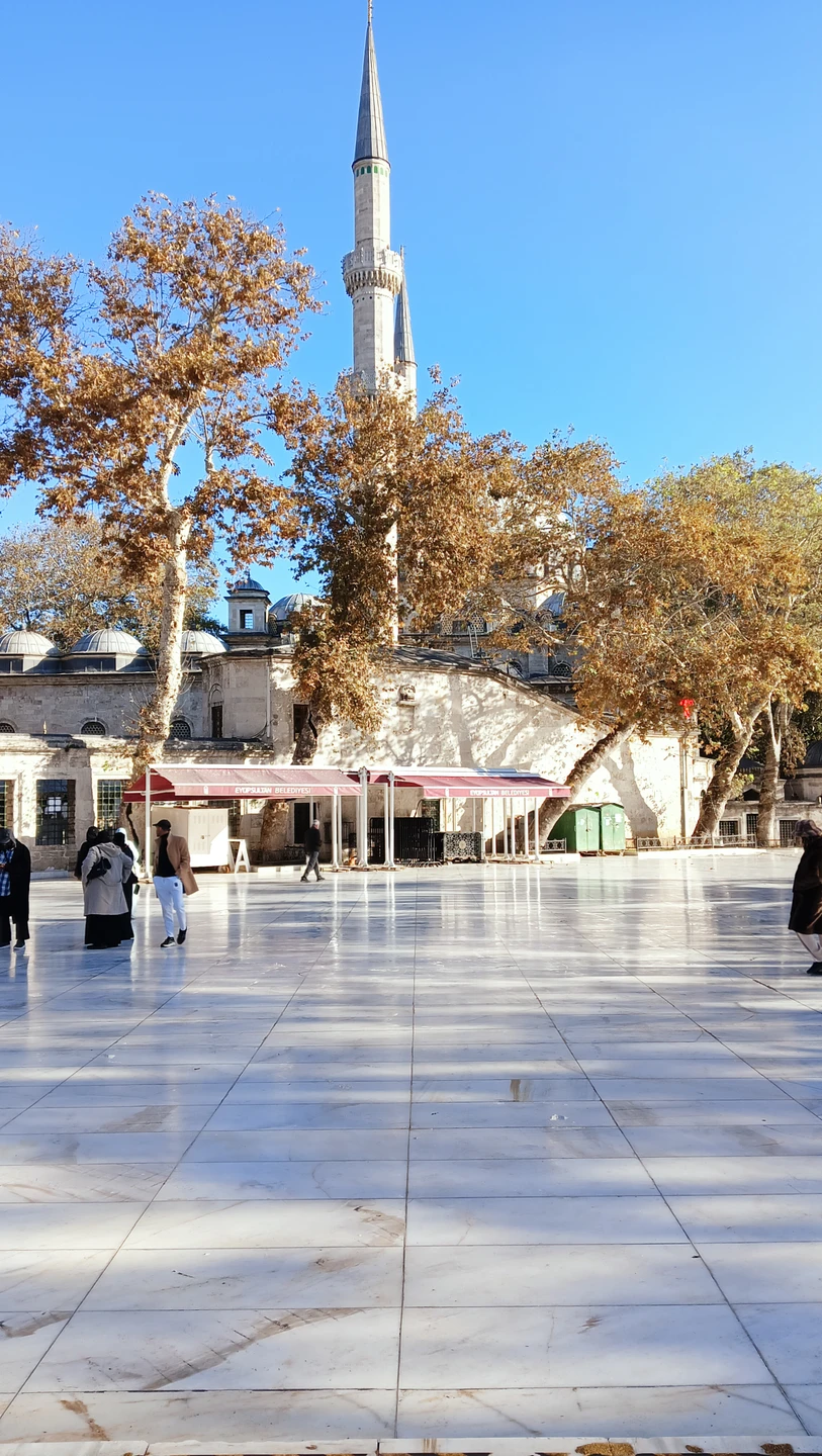 Очень хорошая экскурсия. Айдын - замечательный экскурсовод, за сравнительно короткое время мы увидели столько красивых мест